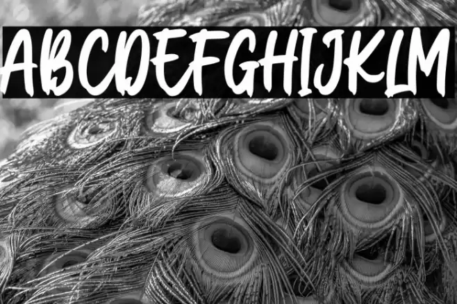 Christmas Present Font examples