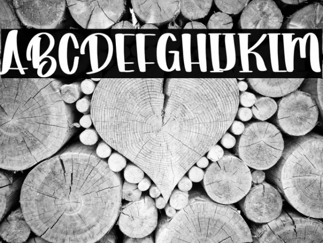 Christmas Promotion Font examples