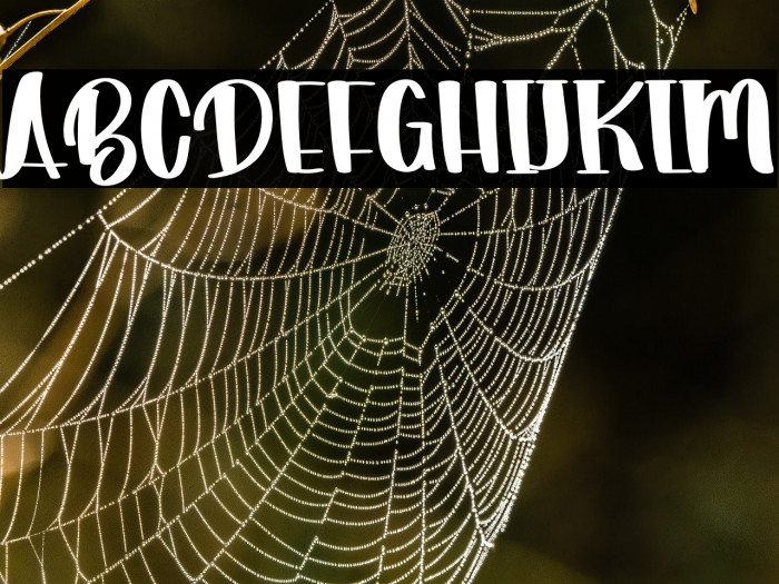 Christmas Promotion Example 2