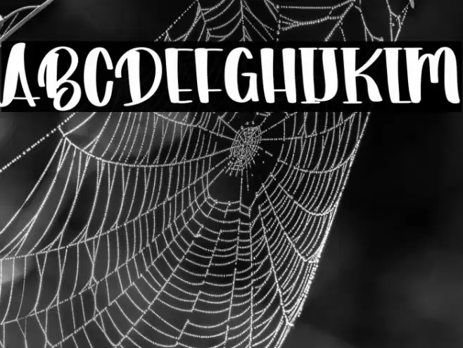 Christmas Promotion Font examples