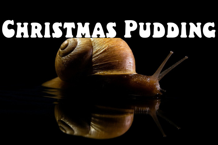Christmas Pudding Example 1
