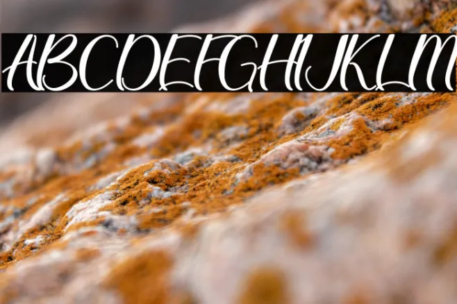 Christmas Queen - Personal Use Example 2