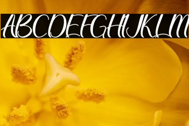 Christmas Queen - Personal Use Example 3