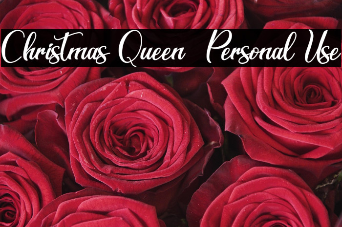 Christmas Queen - Personal Use Example 3