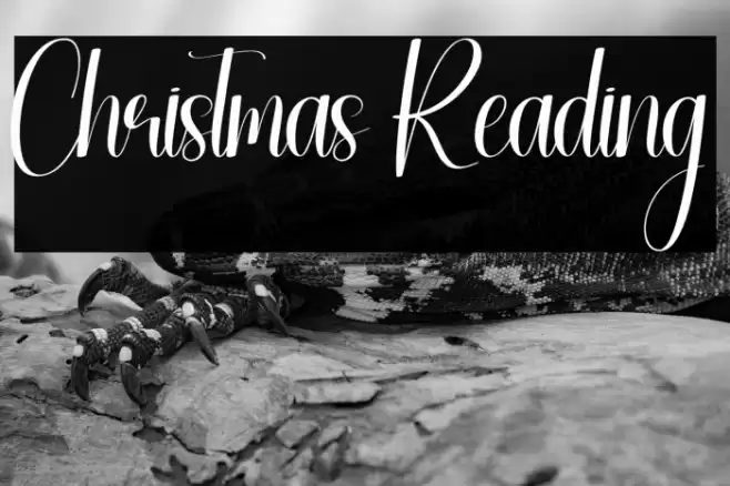 Christmas Reading Font examples