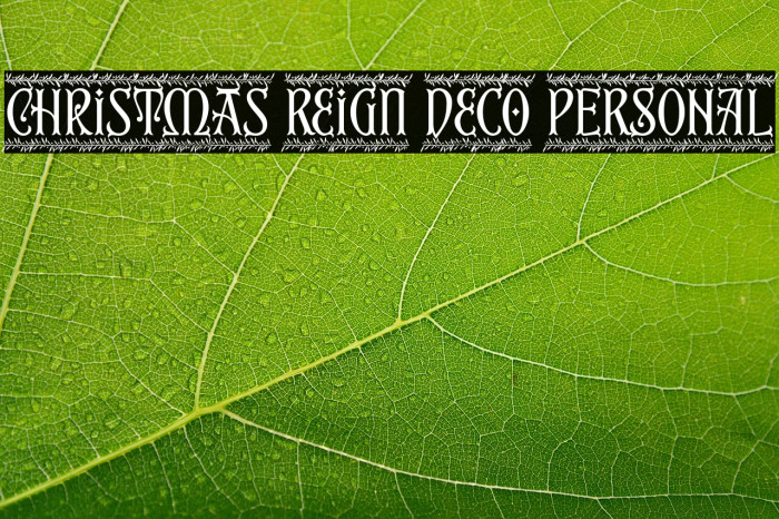 Christmas Reign Deco PERSONAL Example 1