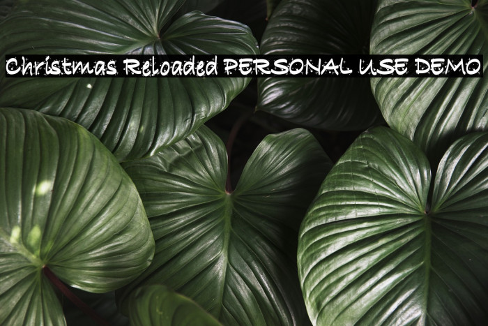 Christmas Reloaded PERSONAL USE DEMO Font examples