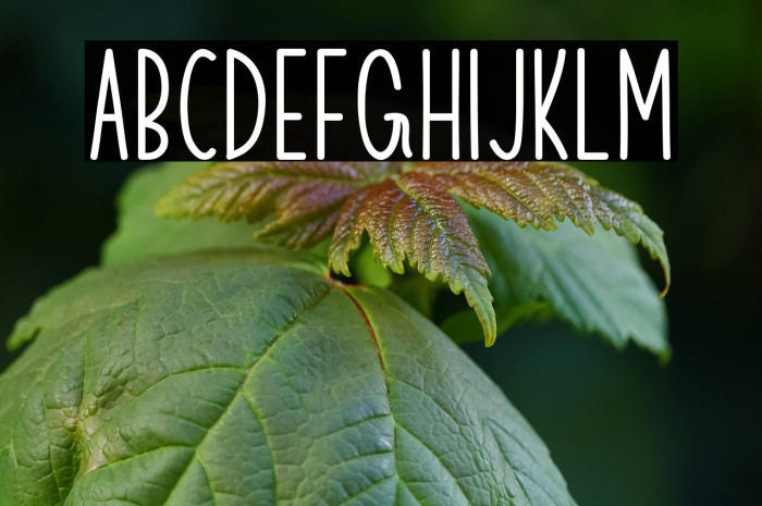 Christmas Respite Example 1