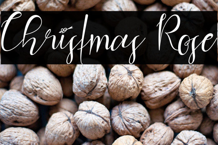 Christmas Rose Example 2