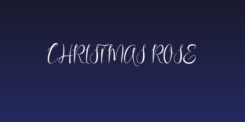 Christmas Rose Social Header