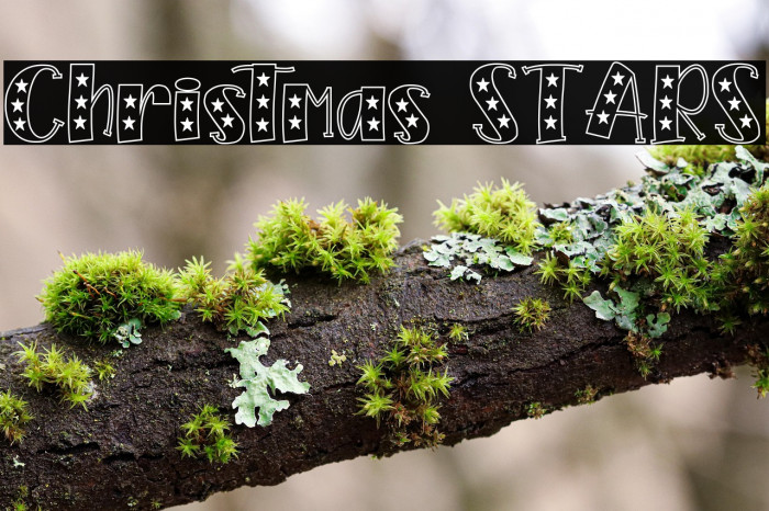 Christmas STARS Example 2