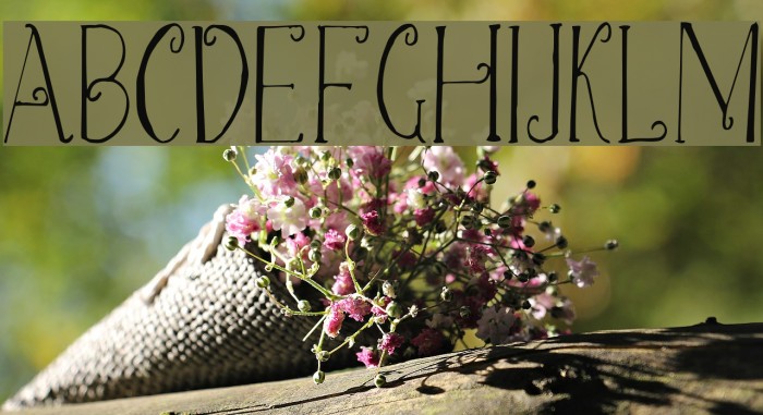 Christmas Script Demo Example 2