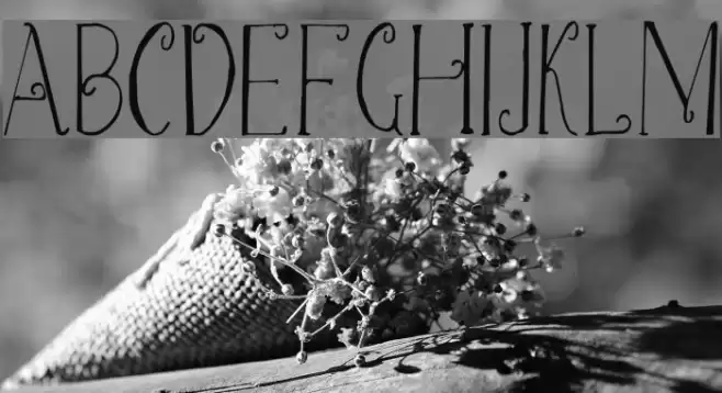 Christmas Script Demo Font examples