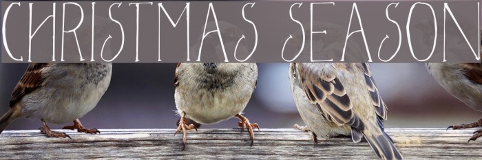 Christmas Season Fonte examples