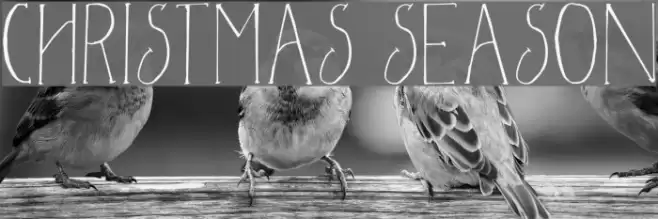 Christmas Season Шрифта examples
