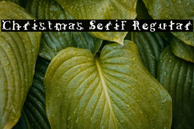 Christmas Serif Regular Example 3