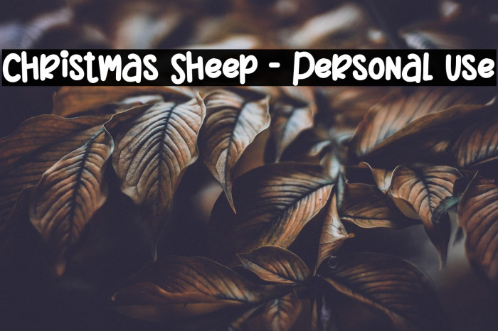 Christmas Sheep - Personal Use Example 2