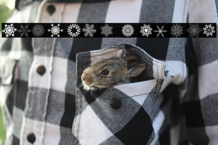 Christmas Snowflakes Example 1