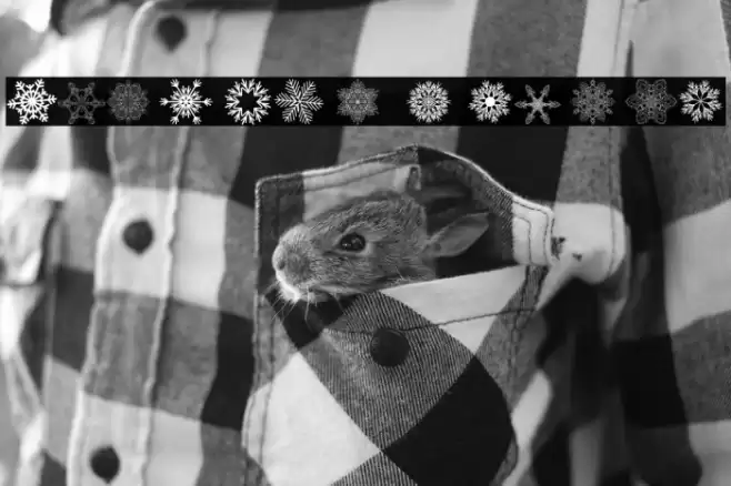 Christmas Snowflakes Polices examples