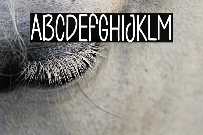 Christmas Sollution Example 1