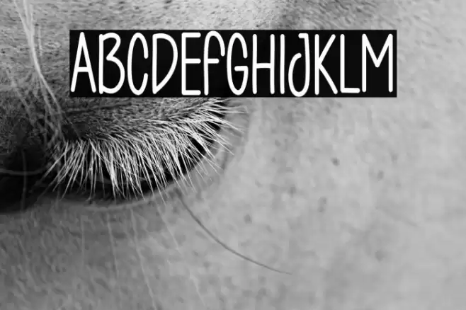 Christmas Sollution Font examples