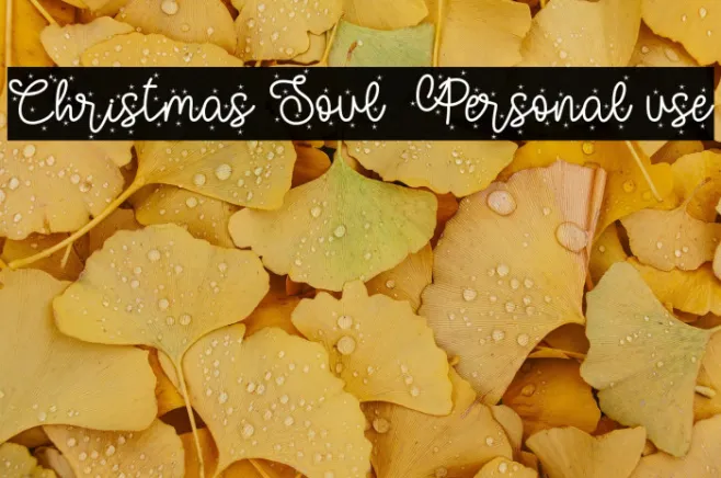 Christmas Soul - Personal use Example 3