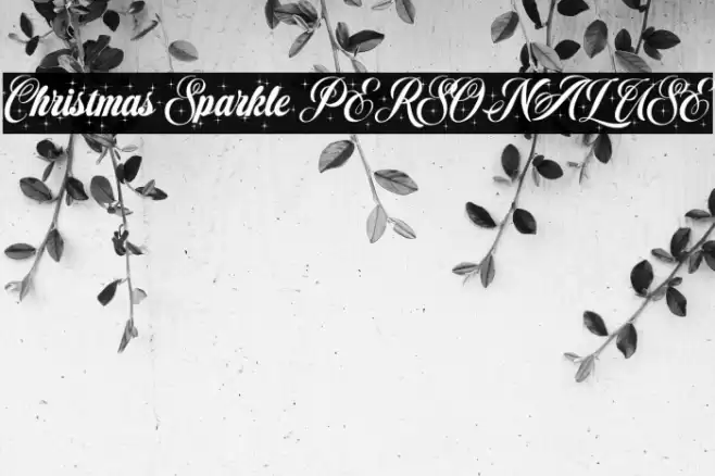 Christmas Sparkle PERSONAL USE Font examples