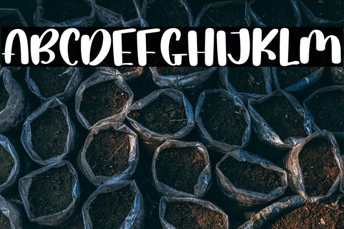 Christmas  Special Example 2