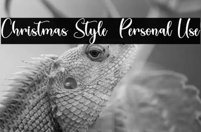 Christmas Style - Personal Use Font examples