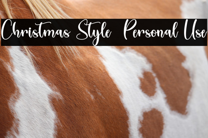Christmas Style - Personal Use Example 3