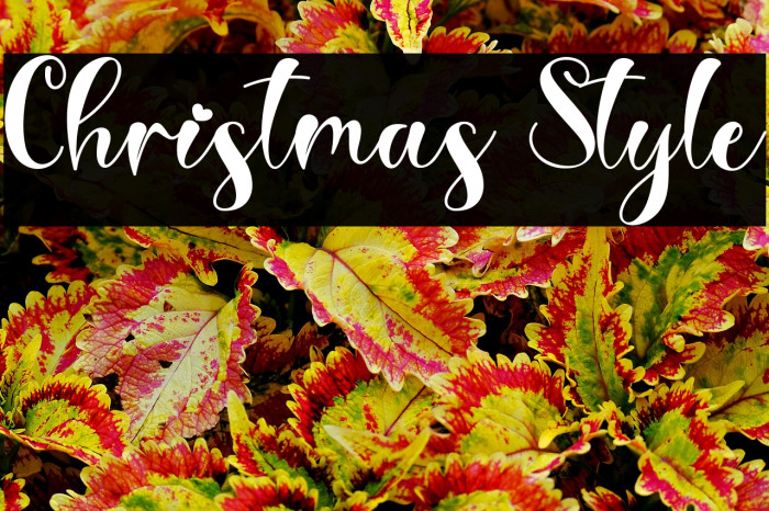 Christmas Style Example 3