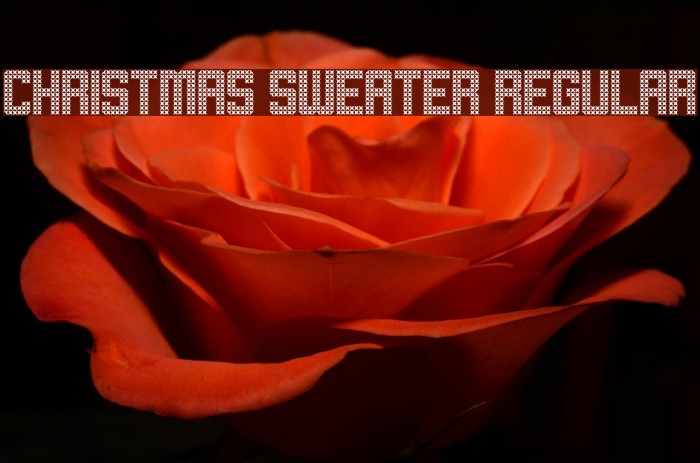 Christmas Sweater Regular Font examples