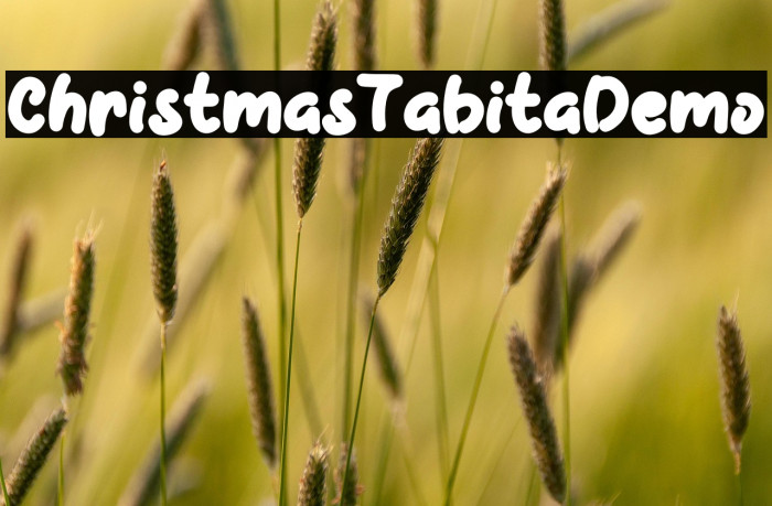 Christmas Tabita Demo Example 2