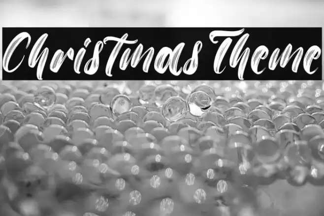 Christmas Theme Polices examples
