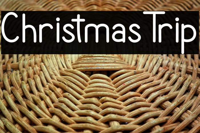 Christmas Trip Example 2