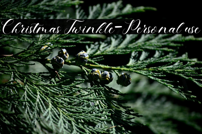 Christmas Twinkle-Personal use Example 3
