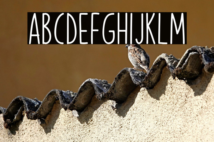 Christmas Vehicle Example 2