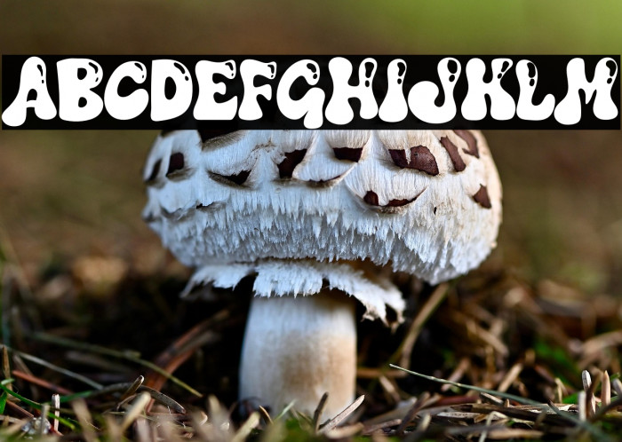 Christmas Vibes Shine Example 3