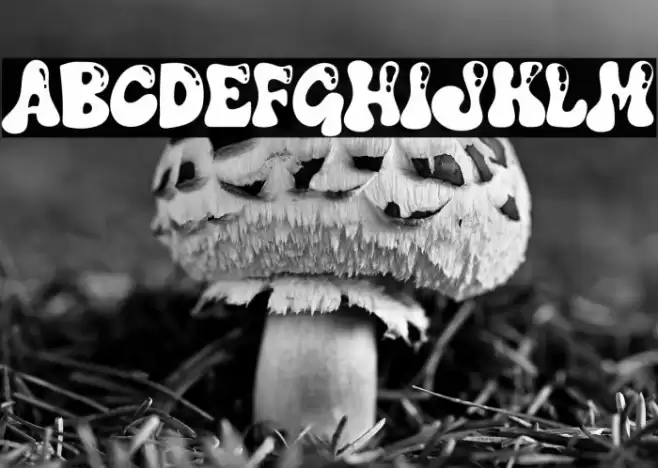 Christmas Vibes Shine Caratteri examples