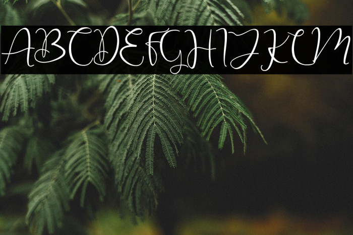 Christmas Winter Example 1