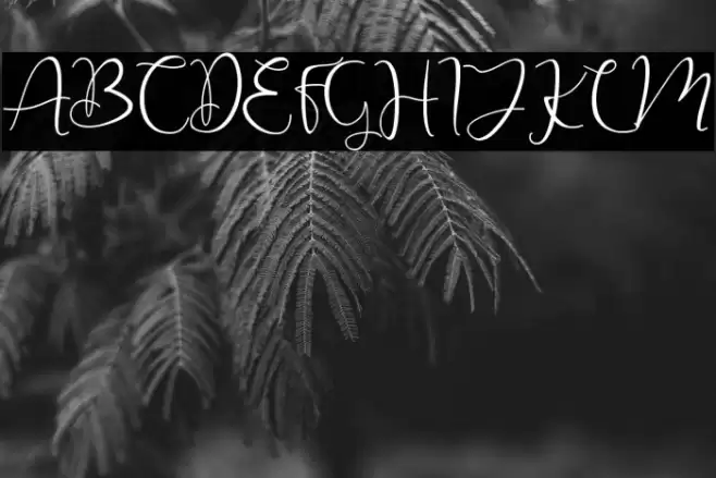 Christmas Winter Font examples