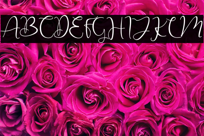 Christmas Winter Example 2