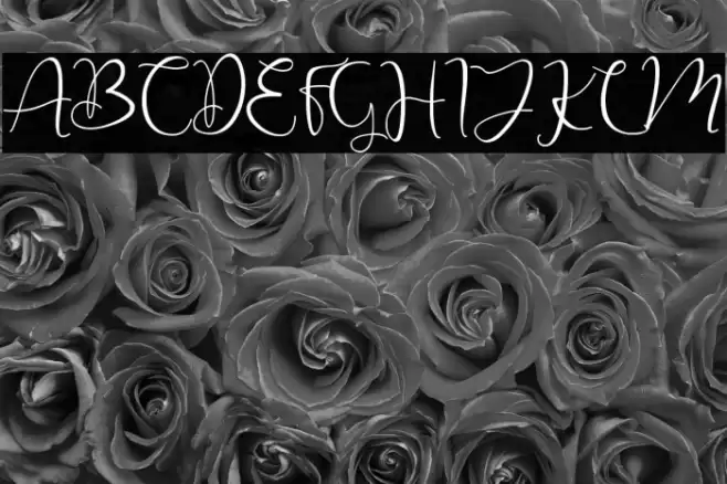 Christmas Winter Font examples