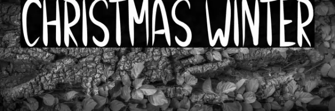 Christmas Winter Font examples