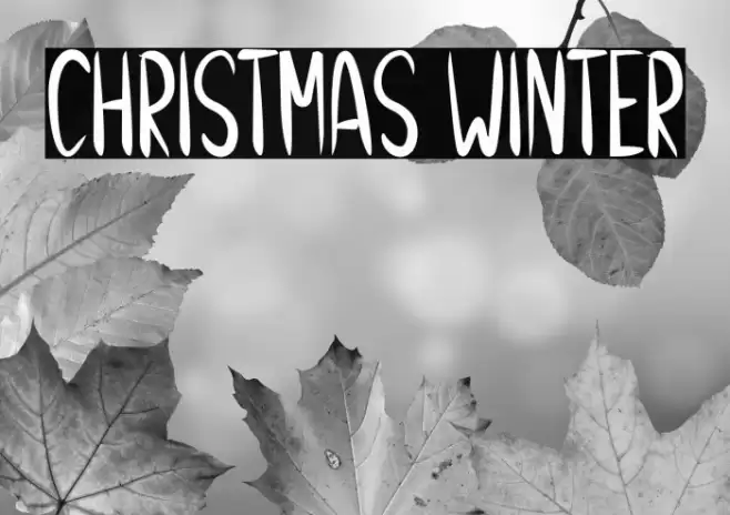 Christmas Winter Font examples