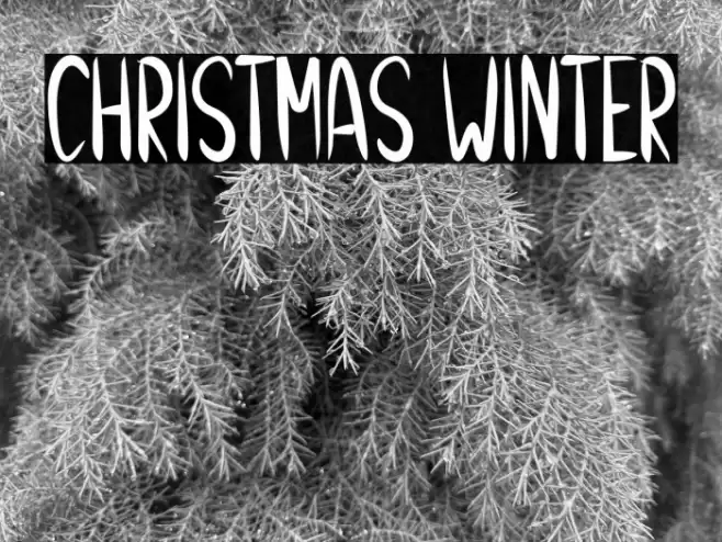 Christmas Winter Font examples