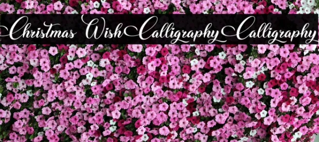 Christmas Wish Calligraphy Calligraphy Example 3