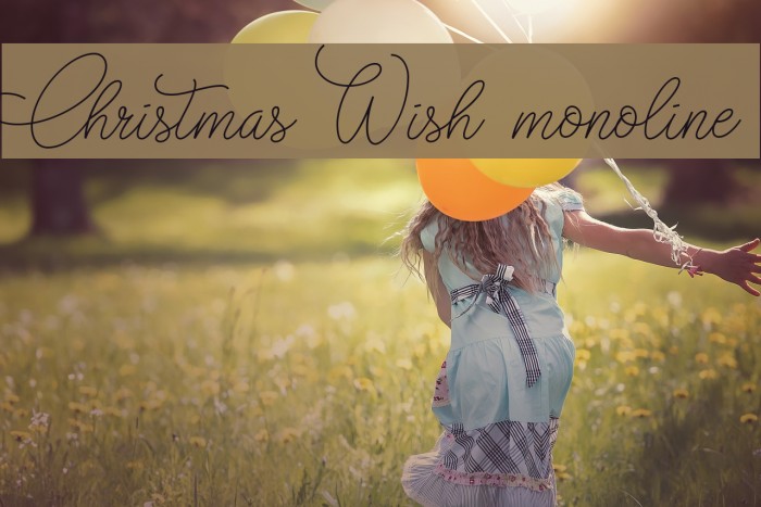 Christmas Wish monoline Font examples