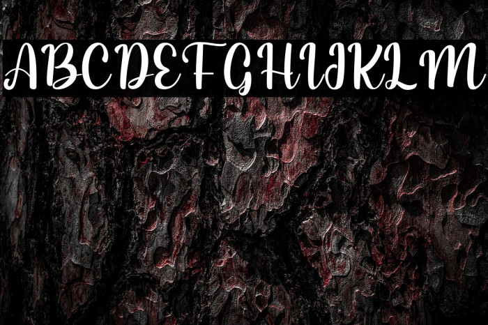 Christmas and Santona Example 1