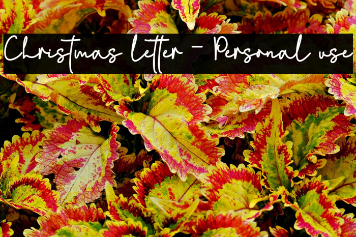 Christmas letter - Personal use Example 1